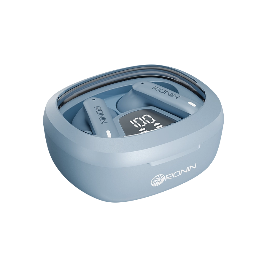 R-540 EarBuds