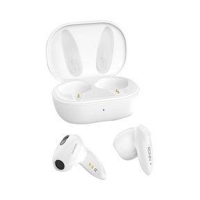 R-590 Earbuds