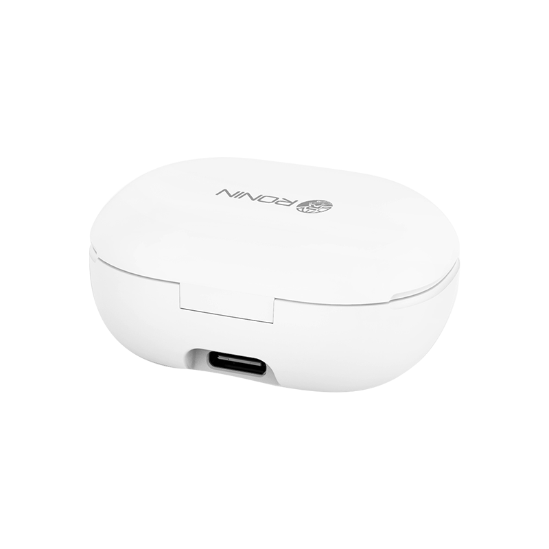 R-590 Earbuds