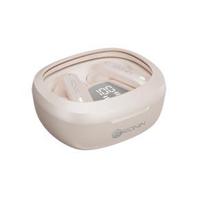 R-540 EarBuds