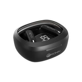 R-540 EarBuds
